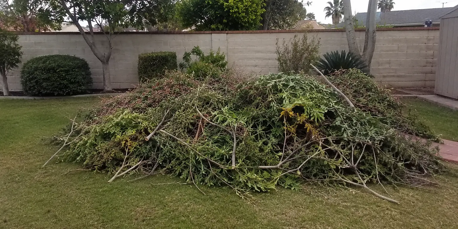 Pile of branch and vine trimmings cleared from a Brea backyard for yard waste removal